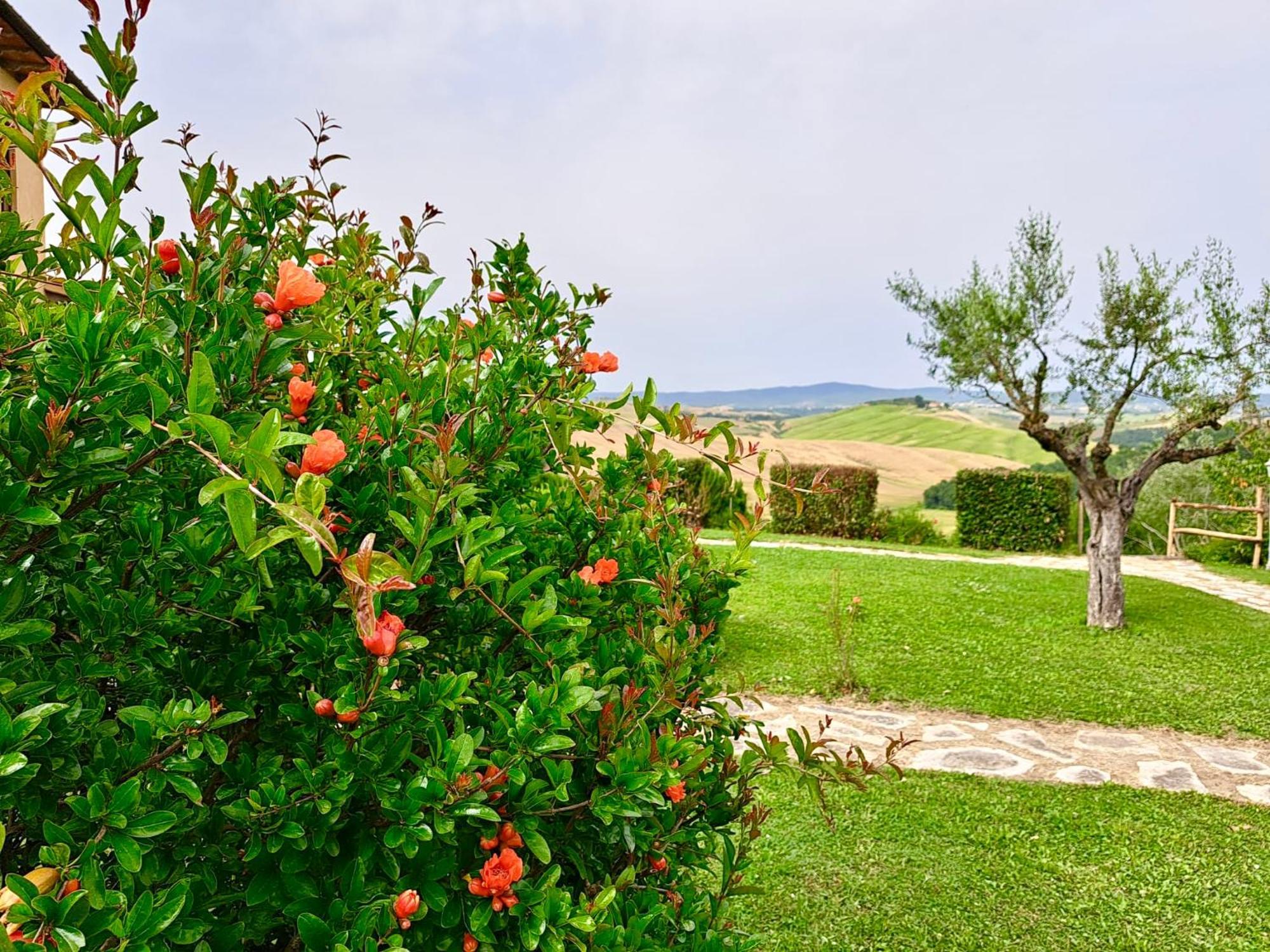 Agriturismo Caliano アッシャーノ エクステリア 写真