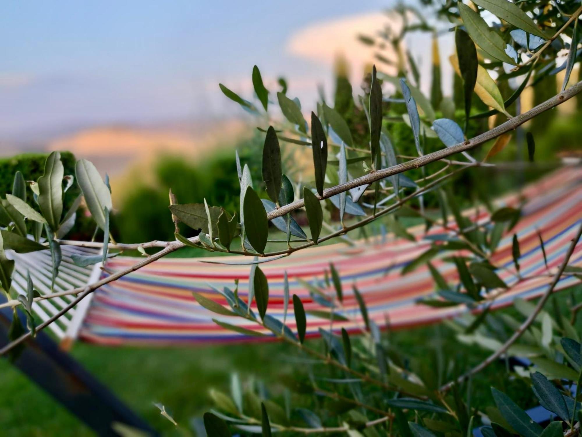Agriturismo Caliano アッシャーノ エクステリア 写真